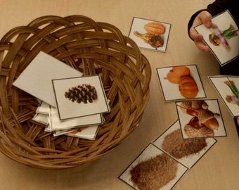 Montessori Fall objects language cards