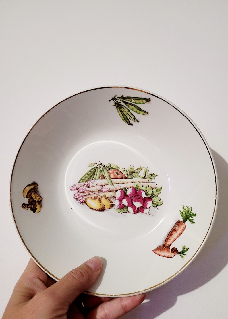 Lot de 6 assiettes légumes de la faïencerie de Saint-amand en porcelaine vitrifiée image 2