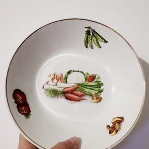 Lot de 6 assiettes légumes de la faïencerie de Saint-amand en porcelaine vitrifiée image 3