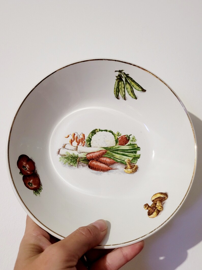 Lot de 6 assiettes légumes de la faïencerie de Saint-amand en porcelaine vitrifiée image 3