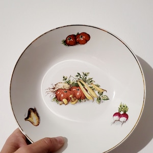 Lot de 6 assiettes légumes de la faïencerie de Saint-amand en porcelaine vitrifiée image 1