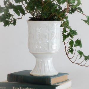 May include: A white ceramic planter with a textured geometric design, holding a green leafy plant. The planter sits atop two books with the title "Two Gardeners". The plant's vines cascade down, creating a natural, decorative display.