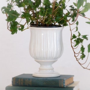 May include: A white ceramic planter with a fluted design sits on top of two books. The top book is green and has the title "Two Gardeners" printed on the spine. The bottom book is also green and has the title "A Sailors Garland" printed on the spine. A green leafy plant is growing out of the planter.