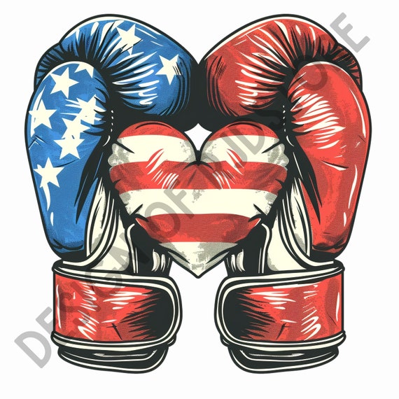 Gants De Boxe USA – Occasion – Modèle BE – Pour Entraînement