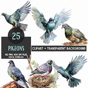 25 Watercolor Pigeon Bird Png - Bird Clipart bundle, Transparent Background, Digital file, Craft, Printing, Instant download