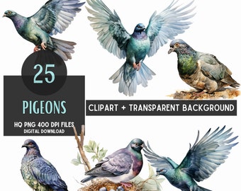 Watercolor Pigeon Clipart Bundle: Transparent PNG Files (Digital Download)