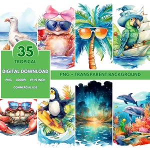 35 Aquarell-Tropen-Png-Cliparts, tropische Designs, Möwen-Png, Krabben-Png, Papagei-Png, Delfin-Png, Palmen-Png, kommerzielle Nutzung