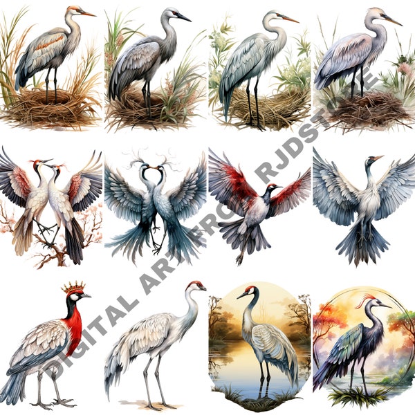 20 Watercolor Crane bird png, Crane clipart bundle, Bird clipart png bundle, Commercial use, Transparent background