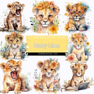 Acuarela bebé León Imágenes Prediseñadas, animales de Safari, animales bebés, animales lindos, fondo transparente, 300 DPI, uso comercial