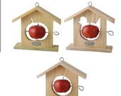 Hanging Bird feeder, fruit holder for birds, 3 assorted shapes Bird/Apple/Circle