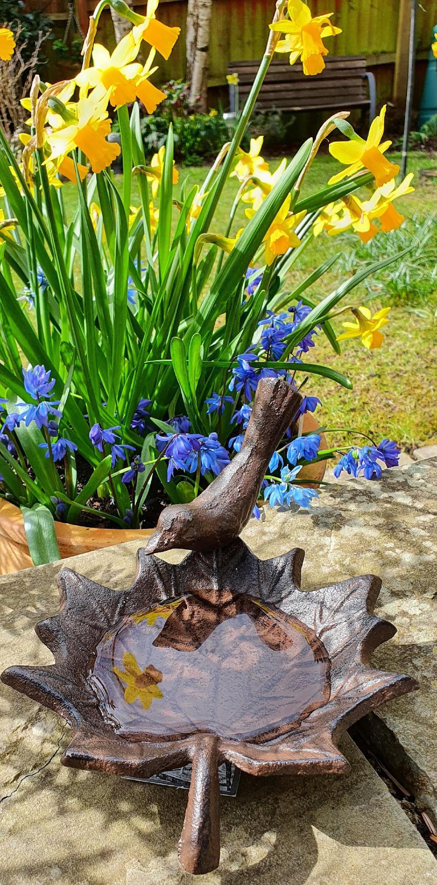 Small Cast Iron Bird Bath Feeder Antique Brown Etsy UK