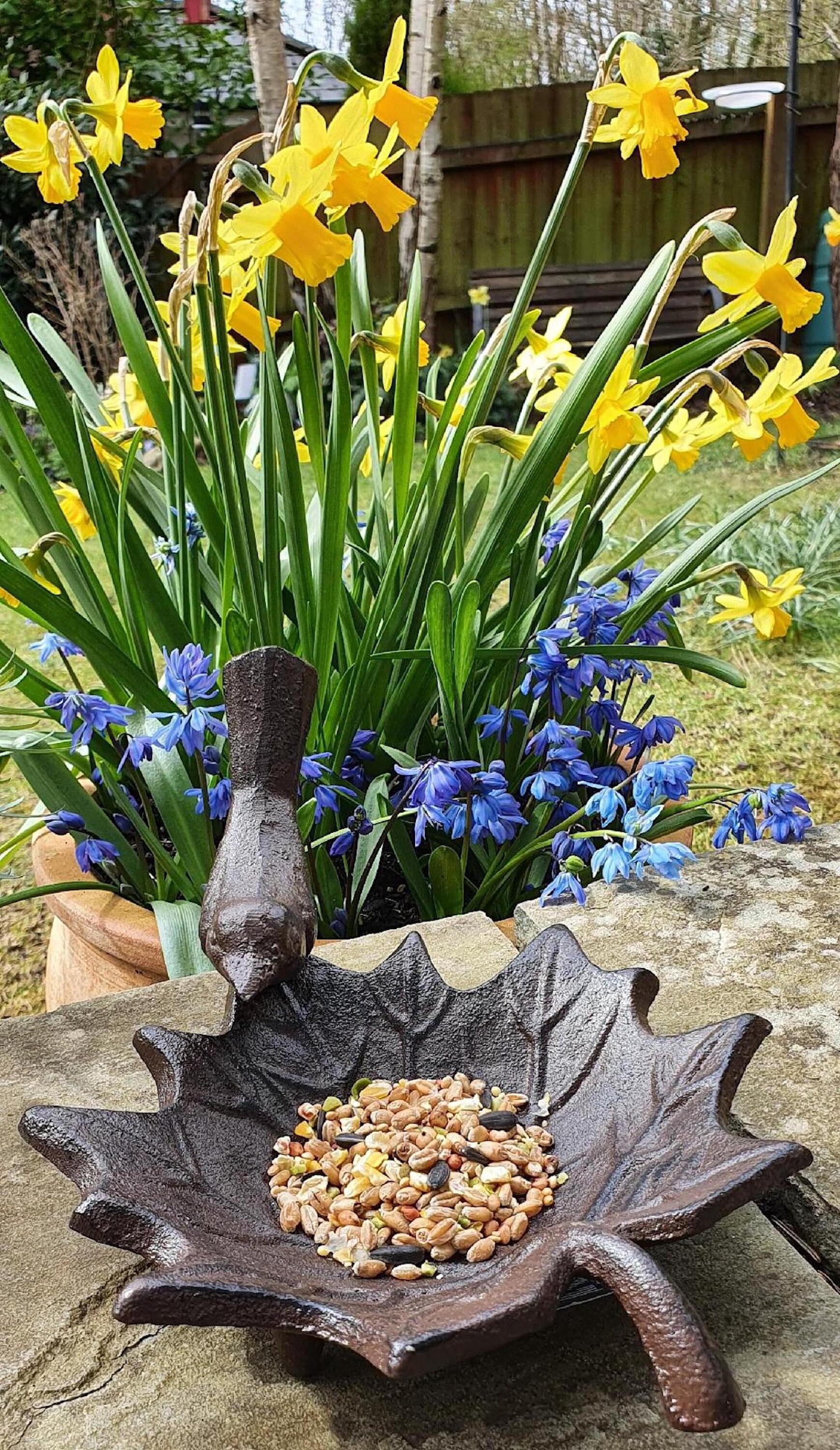 Small Cast Iron Bird Bath Feeder Antique Brown Etsy UK