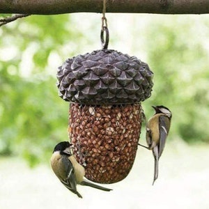 Acorn bird feeder