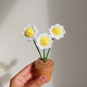 Crochet Daisy In Pot Crochet Pot Gift For Her Crochet Flower Potted Daisy Gift For Mum Mini Crochet Daisy Cute Gift For Her Uni Dorm Decor