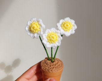 Crochet Daisy In Pot Crochet Pot Gift For Her Crochet Flower Potted Daisy Gift For Mum Mini Crochet Daisy Cute Gift For Her Uni Dorm Decor