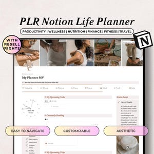 Notion Template With PLR Resell Rights, Notion PLR That Girl, Private Label Rights Notion Dashboard, Digial Products, All-In-One Notion DFY