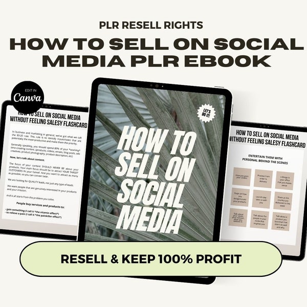 PLR Guía de cómo vender en redes sociales, derechos de etiqueta privada, revender como propio, vender en Instagram, marketing digital, DfY Lead Magnet