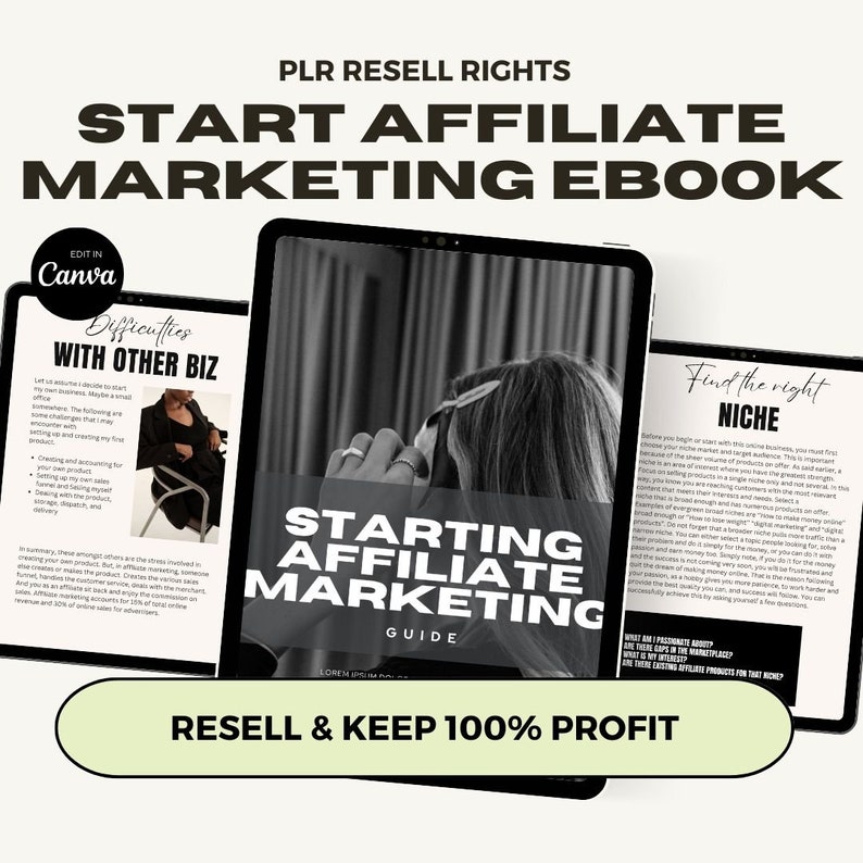 Plr Ebook Affiliate Marketing, Master Resell Rights Marketing, Passive Income MRR Make Money Online, Lead Magnet, Plr Canva Template Ebook image 1