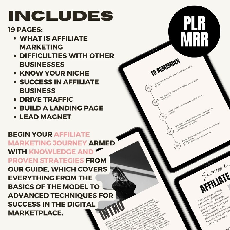 Plr Ebook Affiliate Marketing, Master Resell Rights Marketing, Passive Income MRR Make Money Online, Lead Magnet, Plr Canva Template Ebook image 2