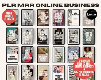 Mega PLR Digital Products Bundle, Private Label Rights, Passive Income Ideas, How to Sell on Etsy, Plr Ebooks to Resell, Done for You Lead