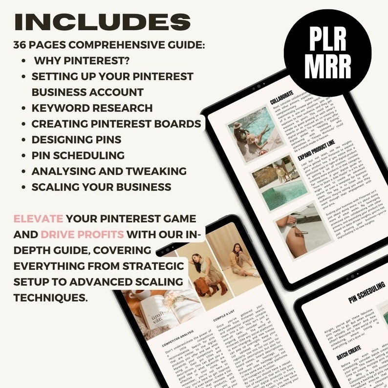 Pinterest Guide PLR Pinterest Marketing plr, Pinterest Passive Income guide PLR, Make Money on Pinterest, Done for you Lead Magnet PLR Ebook image 2