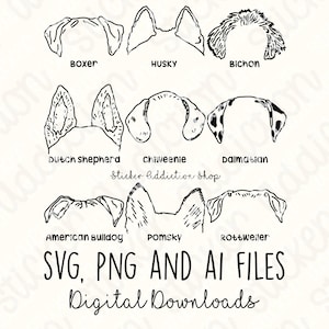 Könnte beinhalten: Schwarz-Weiß-Strichzeichnungen von Hundeohren, darunter Boxer, Husky und Bichon, mit den Rassenbezeichnungen darunter. Der Text "SVG, PNG UND AI DATEIEN Digitale Downloads" ist ebenfalls enthalten.