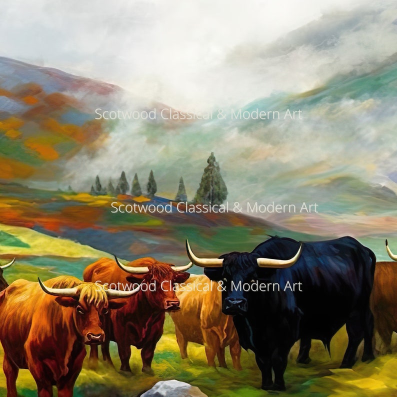 scottish highland cattle scottish highland cattle