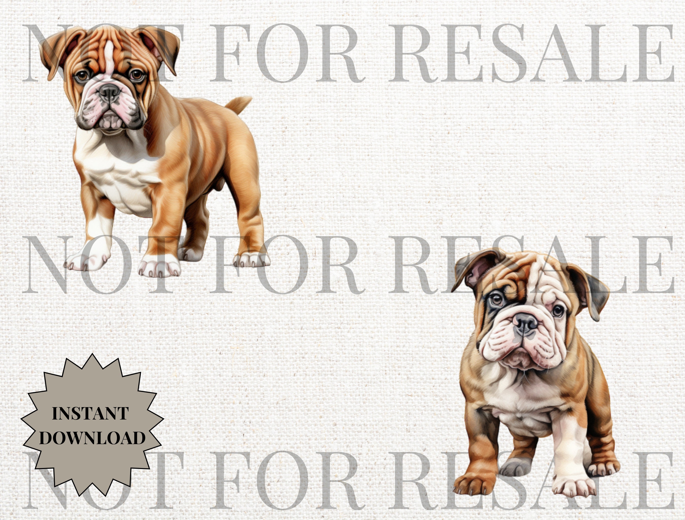 Bulldog Svgs .SVG Bulldog English Bulldogs English Etsy