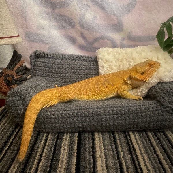 Bearded Dragon Couch - Crochet Pattern