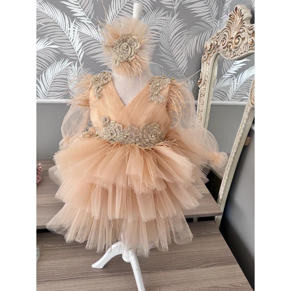 Princess Style Dress, Puffy Dress, Girls' Tulle Dress, Children's Dress, Girls' Dress, Blush girls' dress, Birthday Dress, Blush girl dress