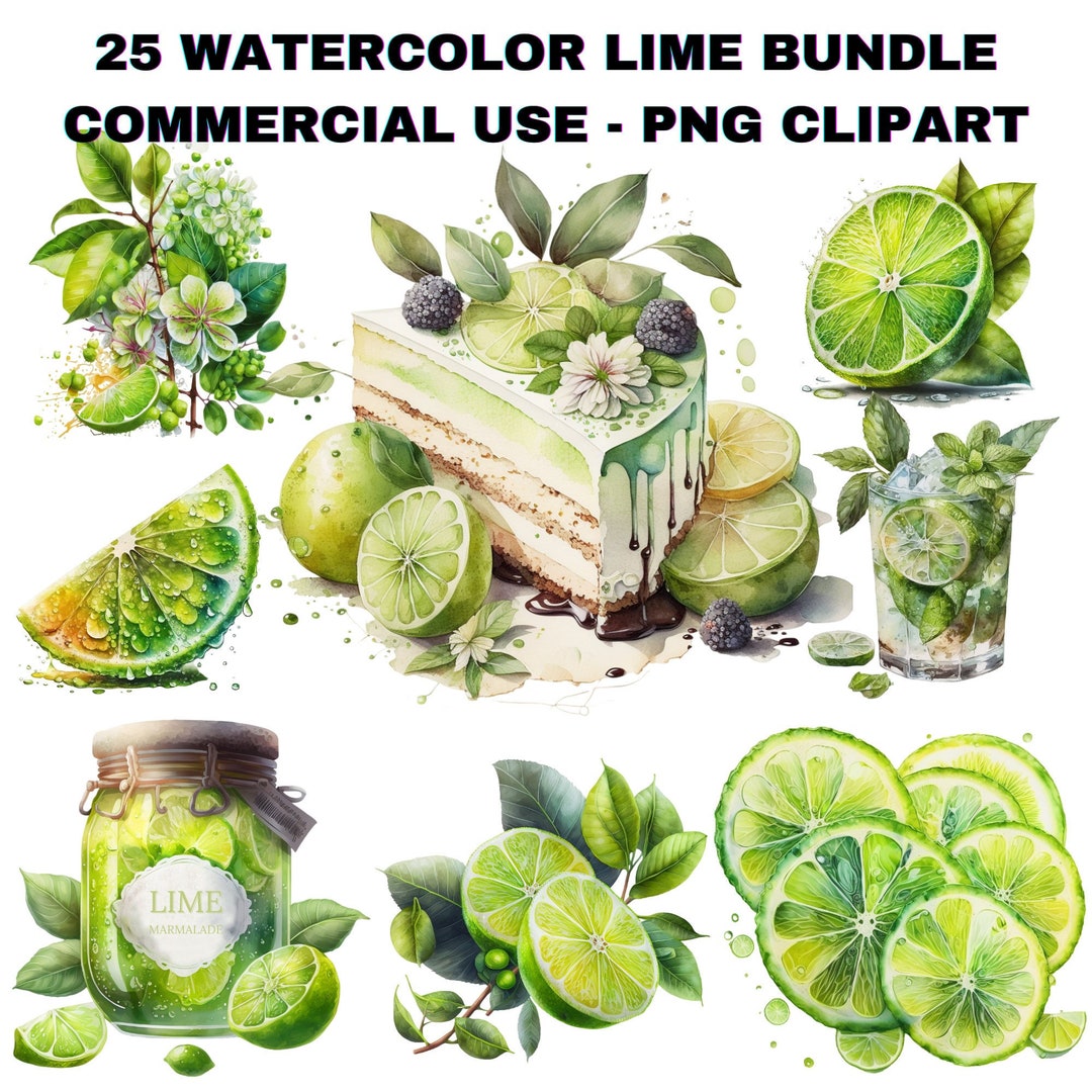 Watercolor Key Lime Clipart Bundle PNG Beautiful Kye Lime Etsy