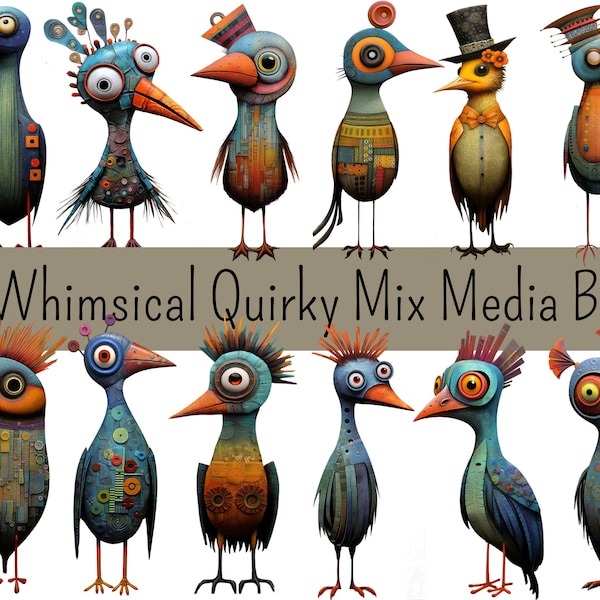 Mixed-Media-Vogelkunst – Skurrile, skurrile Vogelgrafiken – Einzigartige Vogelillustrationen – Verspieltes Vogeldekor 12 PNG- und druckbare Blätter