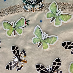 May include: A collection of colorful butterfly stickers with black and white, green and white, and blue and white patterns. The stickers are arranged on a white fabric background.