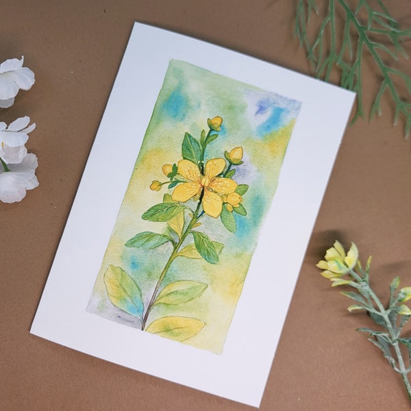 St. John's Wort greeting card [5.5' inches x 4 inches]