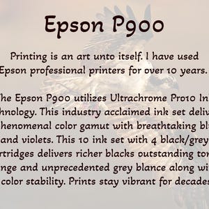 May include: Epson P900 printer with text describing its Ultrachrome Pro10 ink technology, which delivers a phenomenal color gamut with breathtaking blues and violets. The printer has 10 ink cartridges, including 4 black/grey cartridges, for richer blacks, outstanding tonal range, and unprecedented grey balance. Prints stay vibrant for decades.