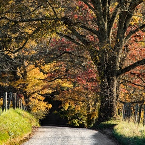Cades Cove Fall Scenery. Tennessee Photography Landscape Fine Art Print