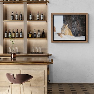 Bobcat in Yellowstone National Park. Winter Wildlife Photography image 4