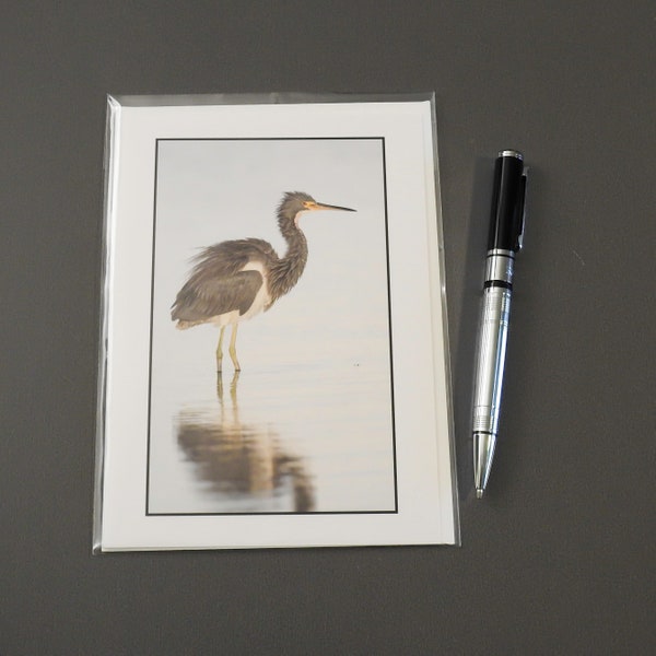 Tri-colored Heron Note Card Wildlife Artwork Nature Greeting Card
