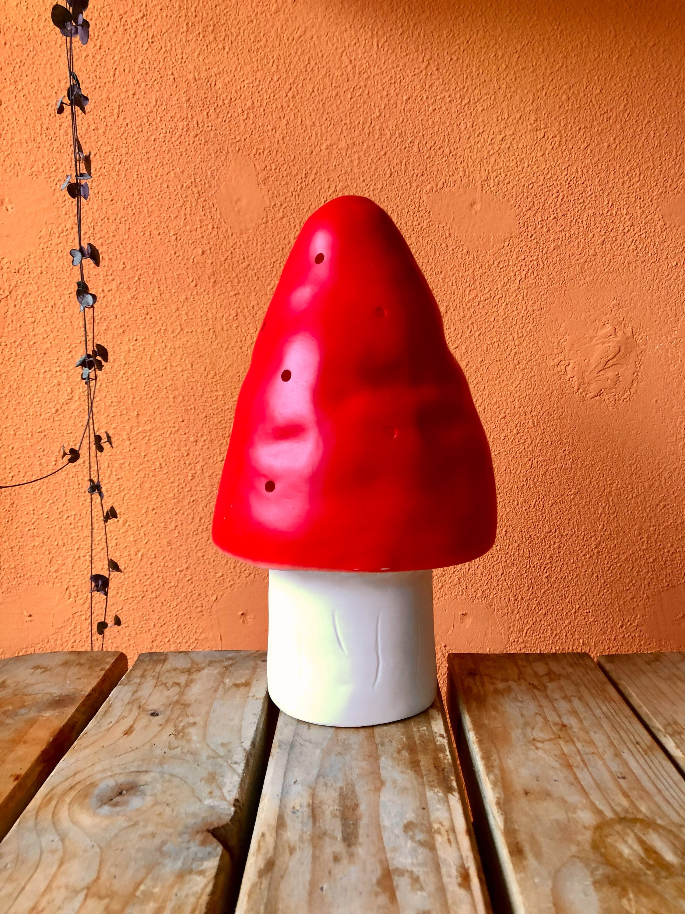 Monica Violine getrennt fliegenpilz lampe heico Anemonenfisch Sudan Helm