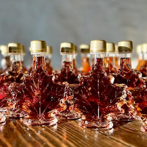 Vermont Maple Syrup Favors: 48 Maple Leaf Bottles, Wedding Shower Gift