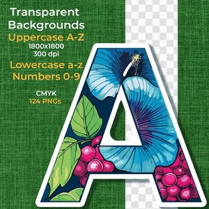 Alfabeto Morning Glories & Raspberrys - Download digital - 124 PNGs - Letras maiúsculas e minúsculas