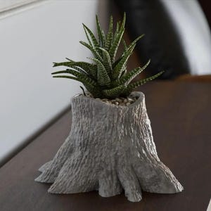 Può includere: Un vaso in ceramica grigia a forma di ceppo d'albero con una pianta grassa verde che cresce al suo interno.