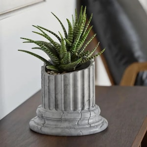 Op de afbeelding: Een grijze betonnen plantenbak in de vorm van een gebroken Romeinse zuil met een groene succulent die erin groeit.