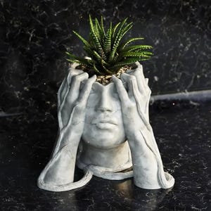Peut inclure: Un pot de fleurs en béton gris en forme de tête humaine, les mains couvrant le visage. Le pot contient une plante succulente verte. Le pot a une finition vieillie, sur un fond sombre et texturé.