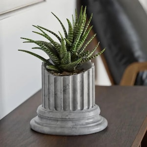 Może przedstawiać: Szara, marmurowa doniczka w kształcie kolumny z zieloną sukulentem rosnącym w środku. Doniczka ma podstawę i żłobiony wzór kolumny.