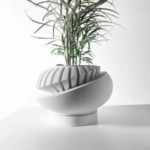 May include: White ceramic planter with a geometric design, featuring a green plant with long, thin leaves.