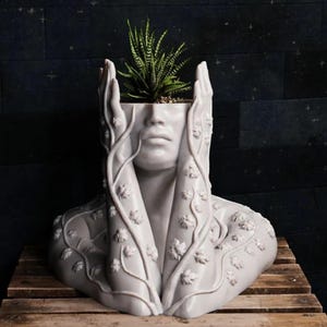 Puede incluir: Una maceta de cerámica blanca con forma de busto de una persona, con las manos cubriendo las orejas. La cabeza está ahuecada para sostener una planta suculenta verde. La maceta tiene una superficie texturizada con detalles de vid.
