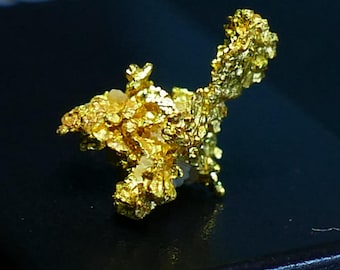 結晶化した金 天然結晶化した金の結晶標本 - カリフォルニア州
