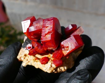 May include: A cluster of vibrant, deep red crystals with a faceted, geometric structure. The crystals are set on a beige and gray matrix, held by a gloved hand. The crystals have a translucent quality, catching the light.