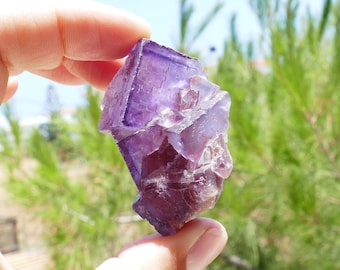 May include: A raw, natural purple fluorite crystal held in a hand. The crystal has a layered appearance with varying shades of purple and a crystalline structure. The background is blurred, featuring green foliage and sunlight.